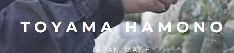 Hidehisa Toyama