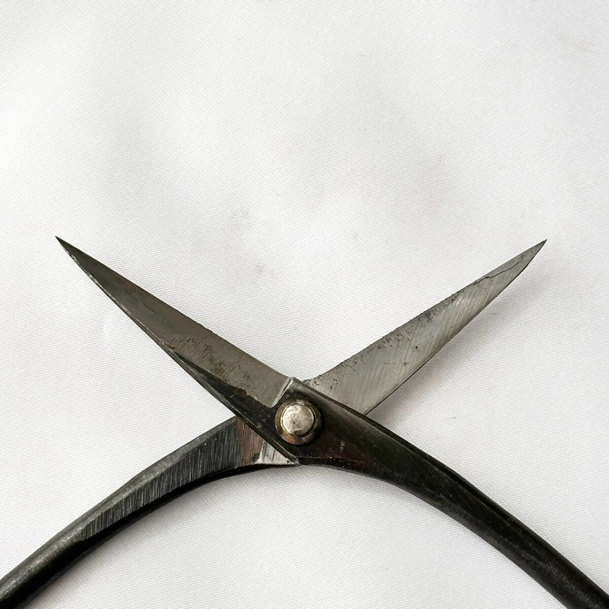 Ножницы для бонсай Kiku Daikoku Satsuki 185 мм